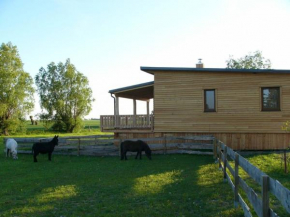Rustikales Holzferienhaus mit großer Terrasse, Saal